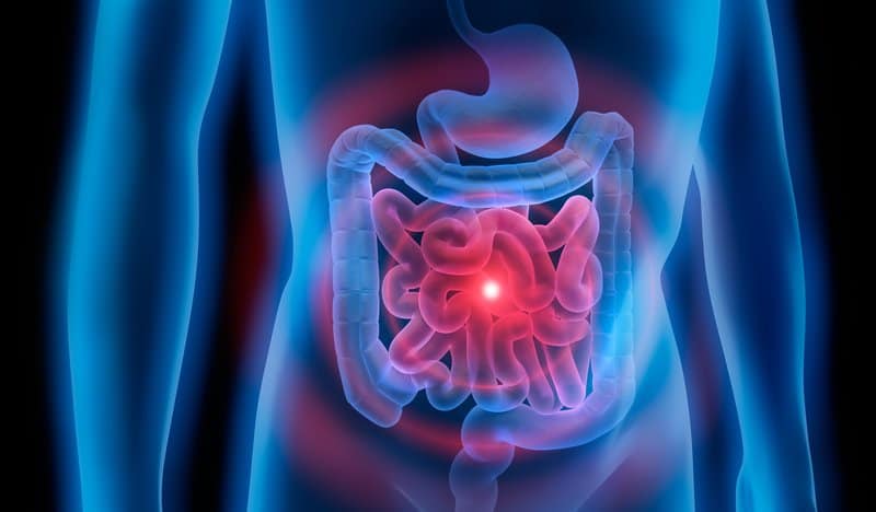 Insights into the origin of esophageal cancer could boost early detection efforts