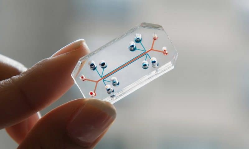 Organ-on-a-chip maker Emulate secures $82M to expand scientific, commercial efforts
