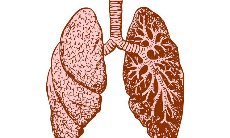 Could cancer drugs address a hard-to-treat lung disease? Researchers say 2 look promising