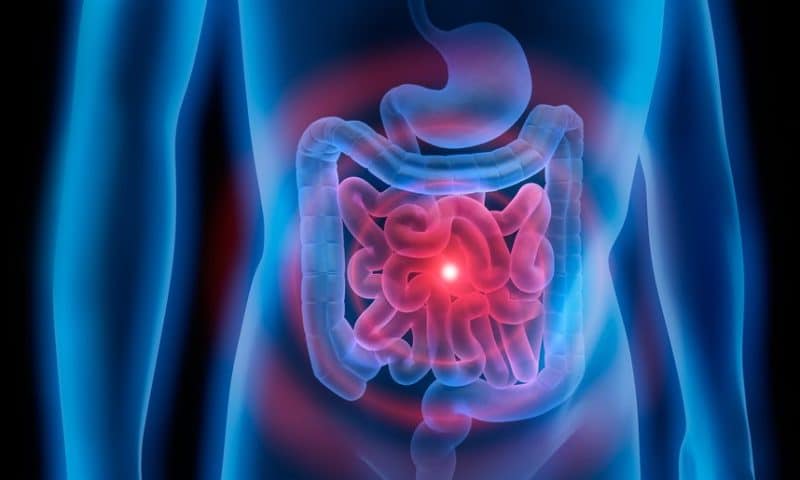 Geneoscopy nabs $105M to advance RNA-based gut tests for early colorectal cancer screening