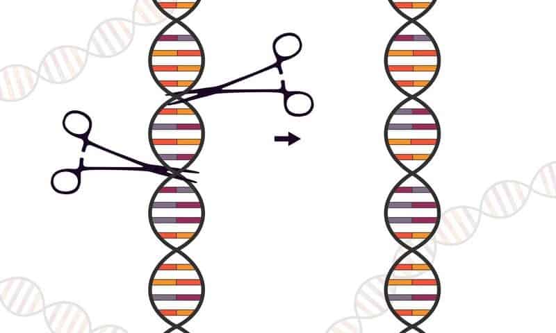 Moderna-partnered gene editor Metagenomi adds $175M to crown from Bayer, BMS and others to get into clinic, launch new biotechs￼