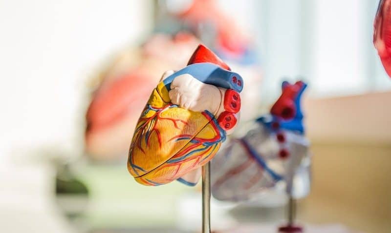 Silence drug reduces cardiovascular disease risk factor as plans to ‘scale up’ drug development get underway￼