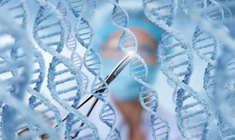 FDA’s gene editing guidance is ‘par for the course’ but still important, analysts say