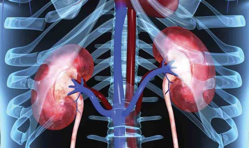 Goldfinch’s phase 2 kidney disease therapy scores in one indication, misses in another