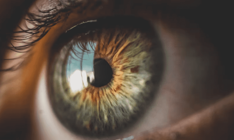 Staar Surgical scopes out FDA approval for LASIK alternative implantable lens￼