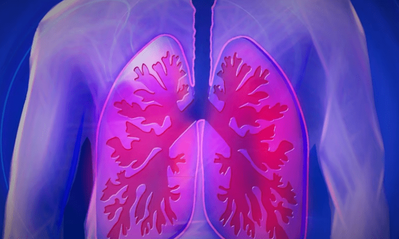 With newly discovered cell type, Penn scientists propose COPD drug development strategy