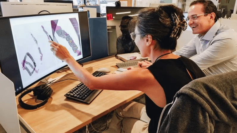 Paige launches pathology AI for detecting breast cancer metastases in lymph nodes