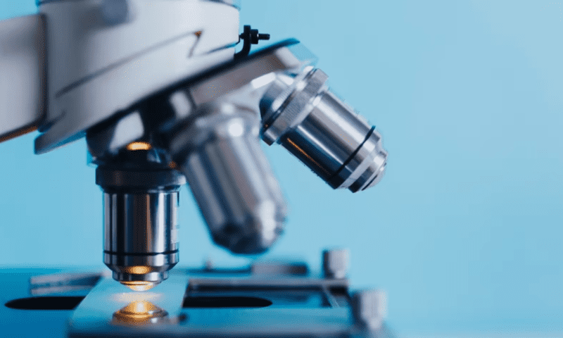 Imagene nets $21.5M for cancer biopsy-scanning AI