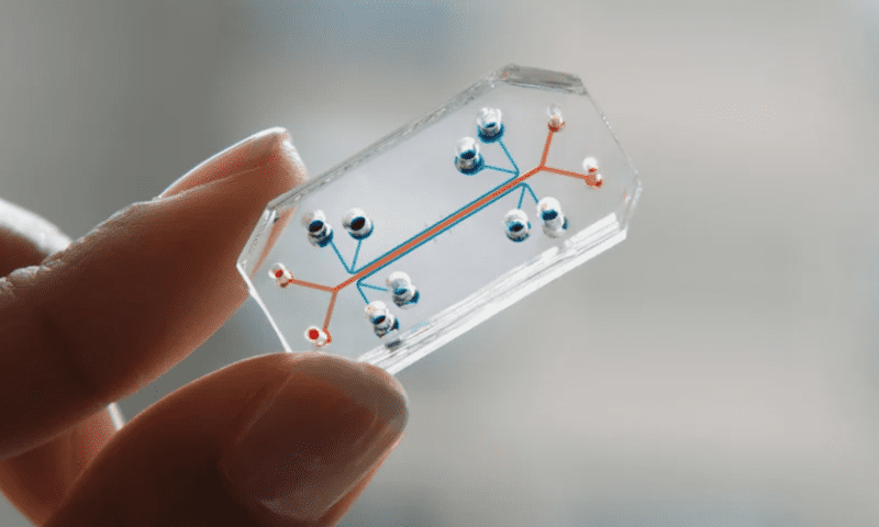 Emulate upgrades intestinal organ-on-a-chip for exploring inflammatory bowel disease