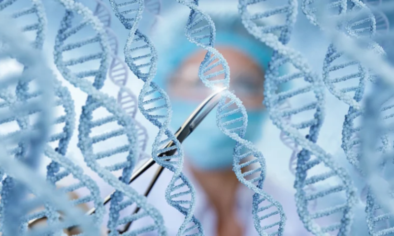 Precision BioSciences makes case for 2 gene editing programs over CRISPR with preclinical data