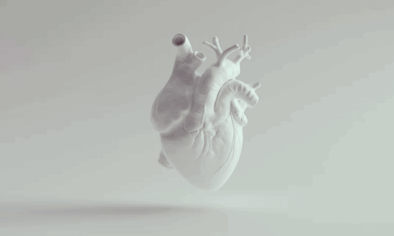 Elucid clears $27M funding for heart disease diagnostic AI