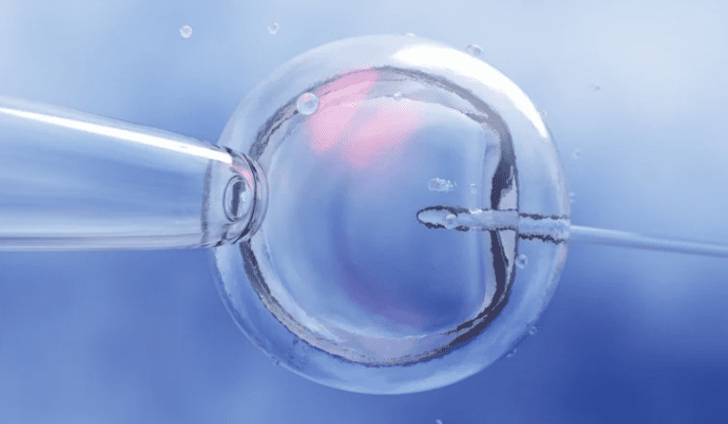 Fairtility welcomes EU approval for embryo assessment AI