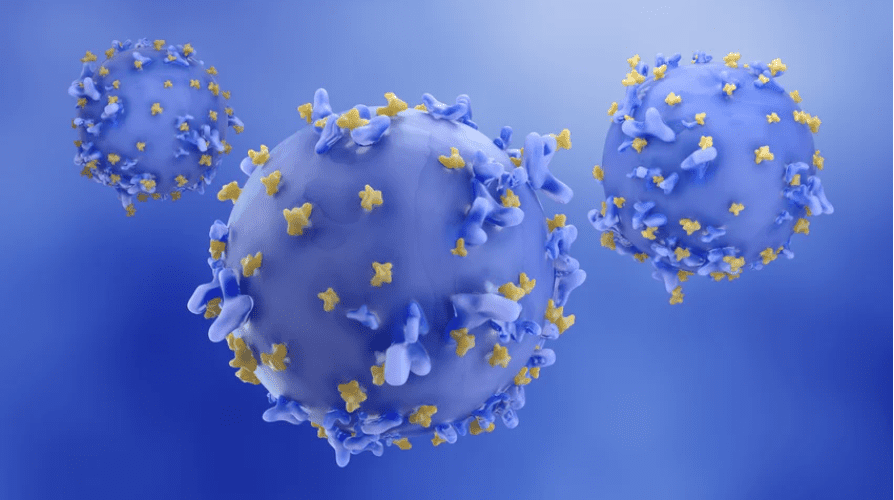 New 'offtheshelf' stem cell CART to be the basis of company born out