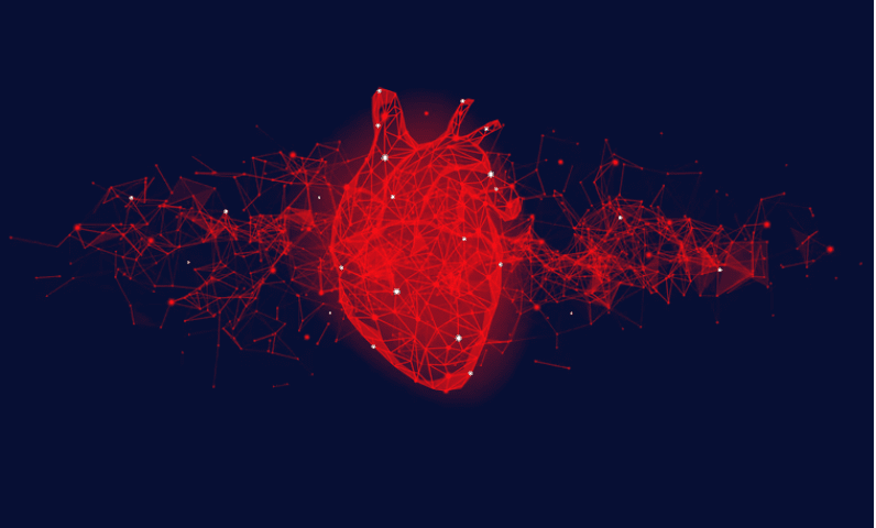 A change of heart: Individual genetic factors could lead to customized cardiac therapies