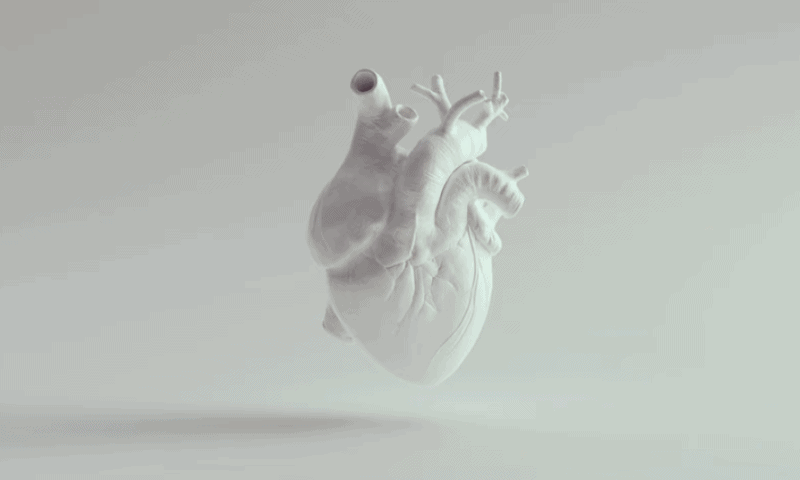 JenaValve nabs $100M to clear a path toward FDA approval of dual-use TAVR system