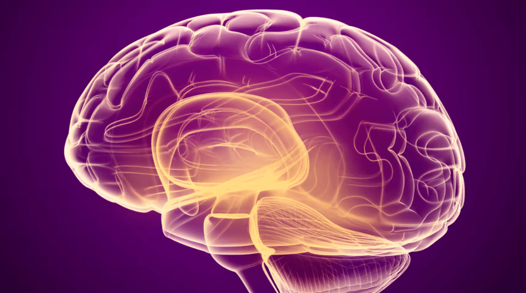 CRISPR offers genetic clues to Alzheimer's in brain's cleaning crew ...