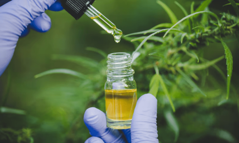 Cannabinoid-focused drugmaker InMed blames ‘recessionary pressures’ for exiting wellness sector