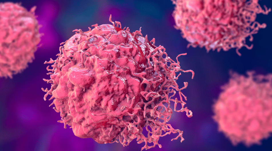 Leveraging machine learning to hone precision meds targeting cancer