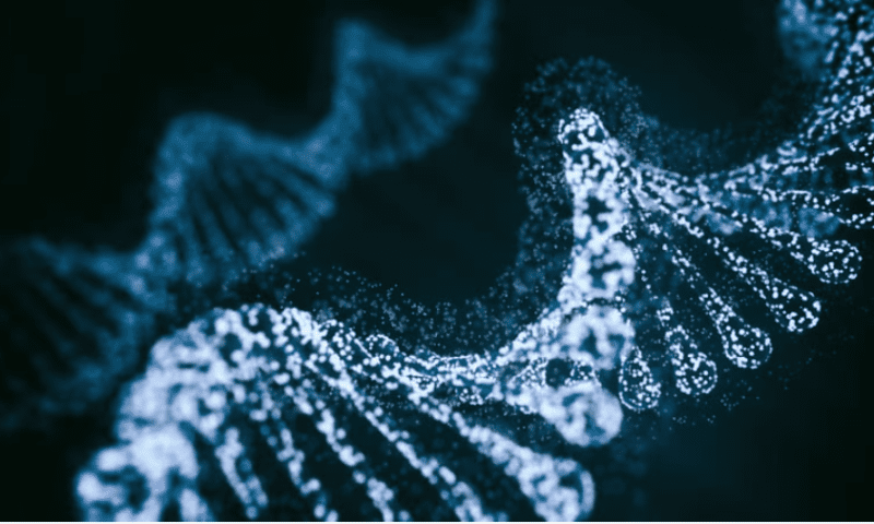 Don’t junk DNA as study shows new role in brain disease