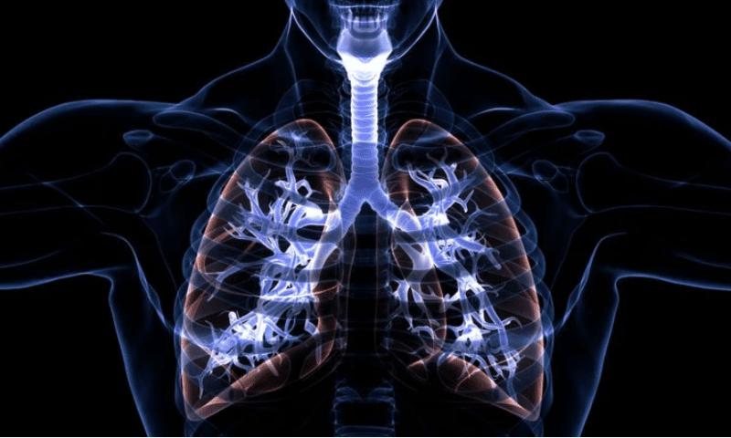 Eloxx stock slumps lower on failed phase 2 cystic fibrosis trial