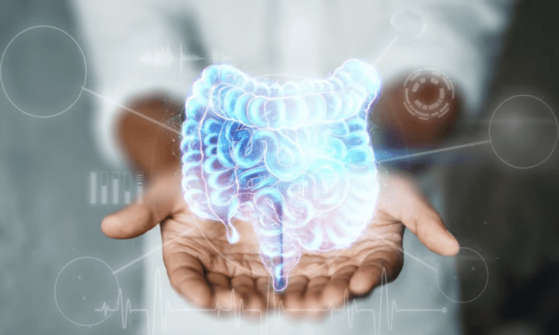 How ROS loss leads to inflammatory bowel disease