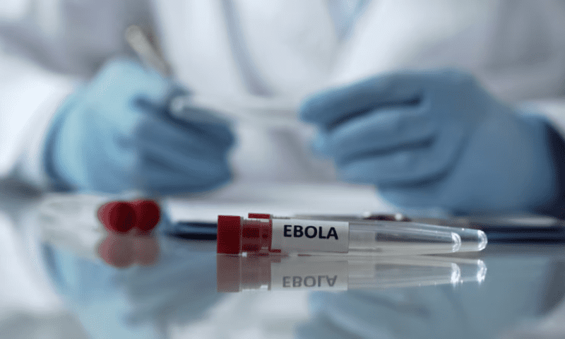 Experimental Ebola shots to be used in Uganda outbreak: reports