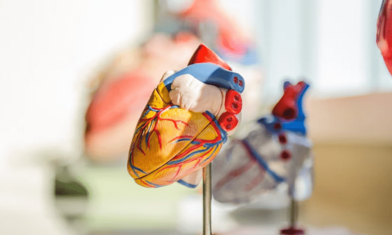 Abiomed scores FDA approval for easier-to-wear pump for right-side heart failure