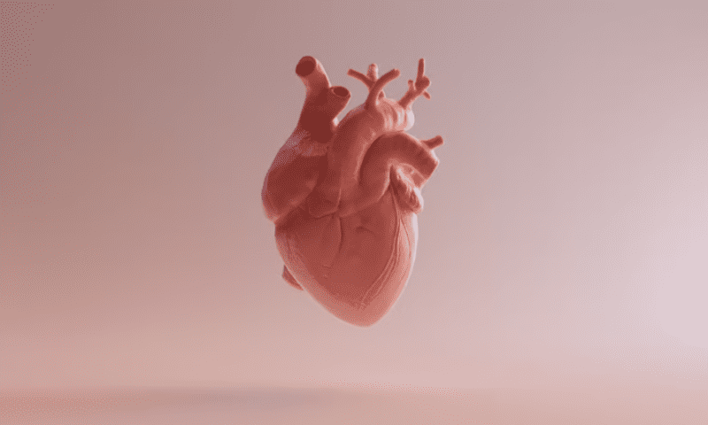 Ultromics’ ultrasound AI scores FDA clearance for spotting heart failure with preserved ejection fraction