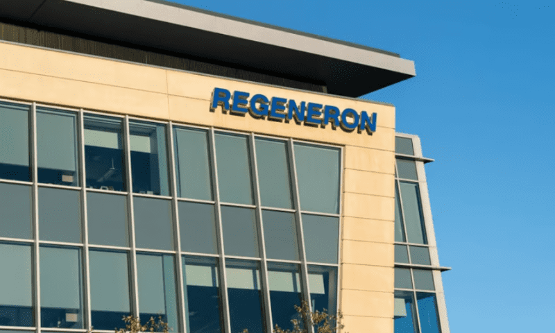 Chasing AbbVie and Roche, Regeneron readies to race bispecific data to regulators—but deaths cast shadow