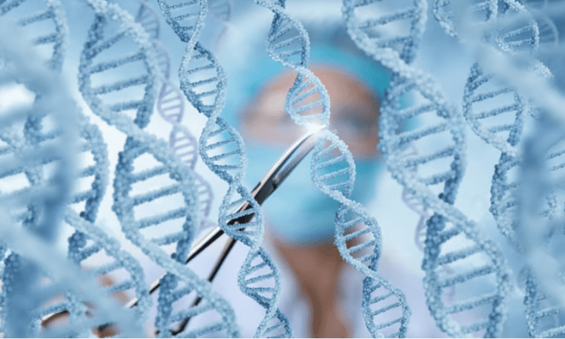 GenKOre signs pacts worth up to $350M biobucks for gene editing tech