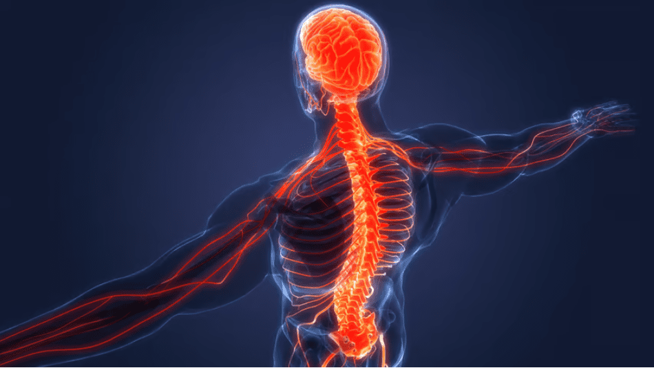 spinal cord stimulation abbott technologies