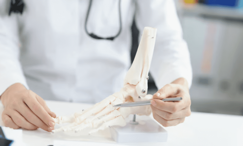 Scientists use drug to lengthen limb bones of mice with rare bone disorder, potentially avoiding surgery