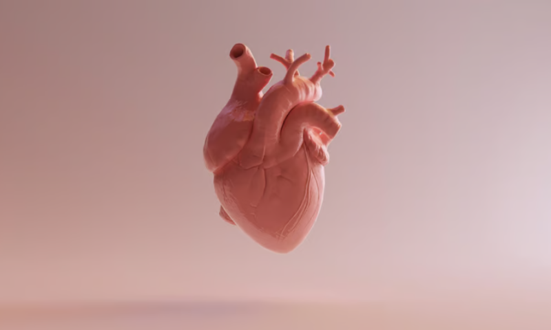 Mini heart pump maker Magenta Medical collects $55M