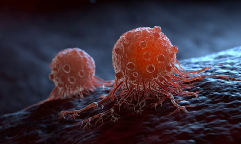 To prevent cancer metastasis, prevent protein migration, new study suggests