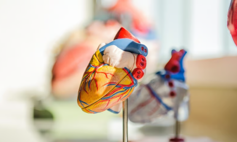 FDA links 4 deaths to recalled Abiomed Impella pumps after TAVR collisions