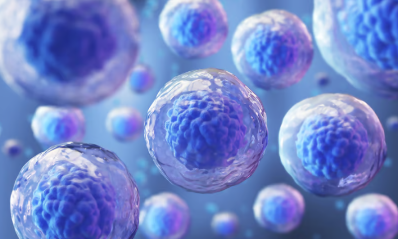 Erasing epigenetic ‘memory’ to improve the quality of stem cells