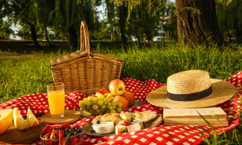 PicnicHealth enters the oncology field with AstraZeneca tagging along for lunch