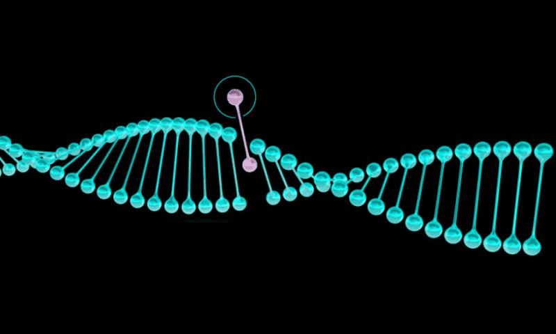 Doudna lab finds chromosome loss from CRISPR-Cas9 is common—and swapping steps is key to stopping it