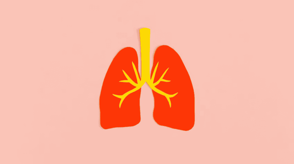 Siemens Healthineers, Qure.ai partner on chest Xray AI rollout for