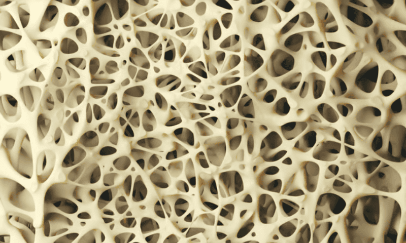 Malaria drug identified by AI builds bone in mice with osteoporosis