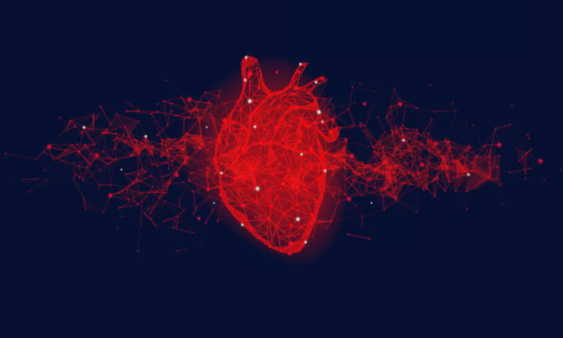 Elucid collects $80M for AI-powered mapping of blocked arteries
