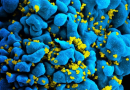 A protein inhibited by GSK’s Rukobia could be culprit behind HIV comorbidities, study suggests