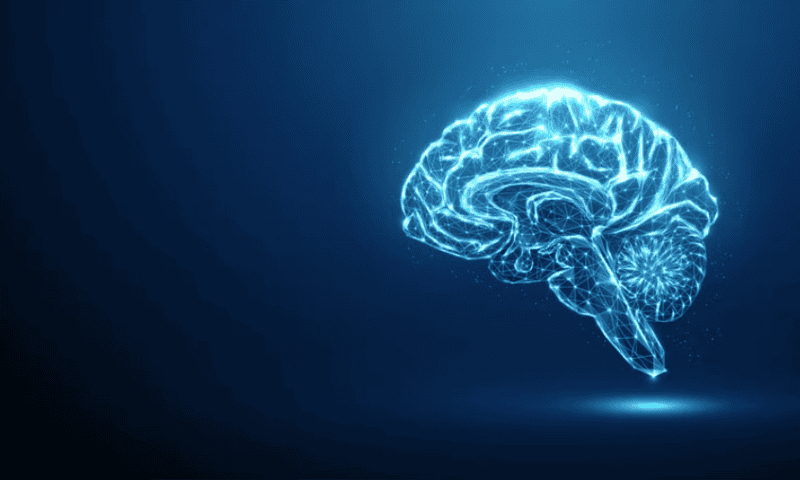 Deep brain stimulation implants improve cognition for traumatic brain injury patients in small study