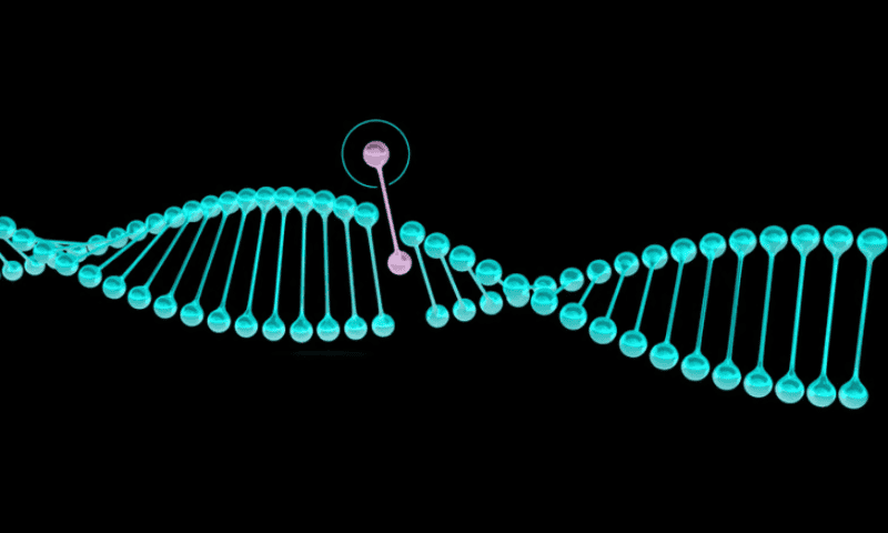 ASH: After landmark FDA approvals, Editas still thinks its gene therapy differentiates itself enough from competition