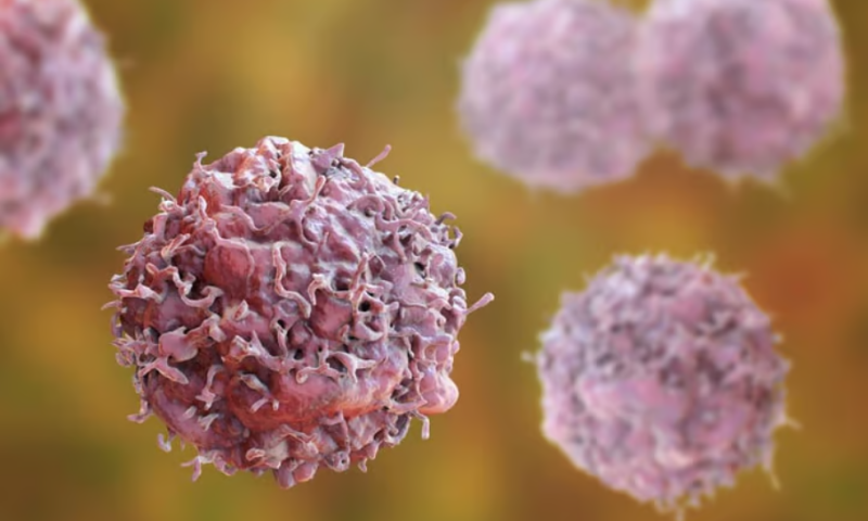 Mushroom-derived drug posts improved survival data in Golden Biotech’s pancreatic cancer trial