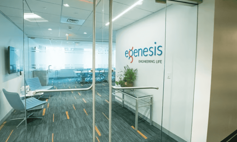 Patient discharged with eGenesis’ genetically engineered pig kidney after successful xenotransplant procedure