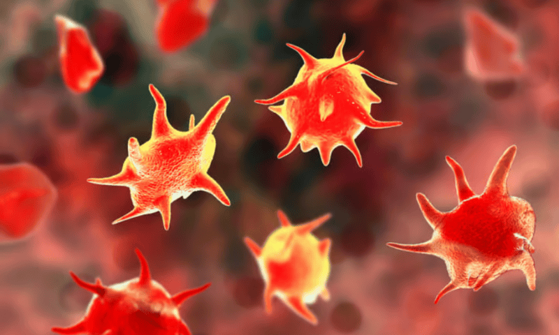 Startup SelSym hopes to control bleeding with squishy synthetic platelets