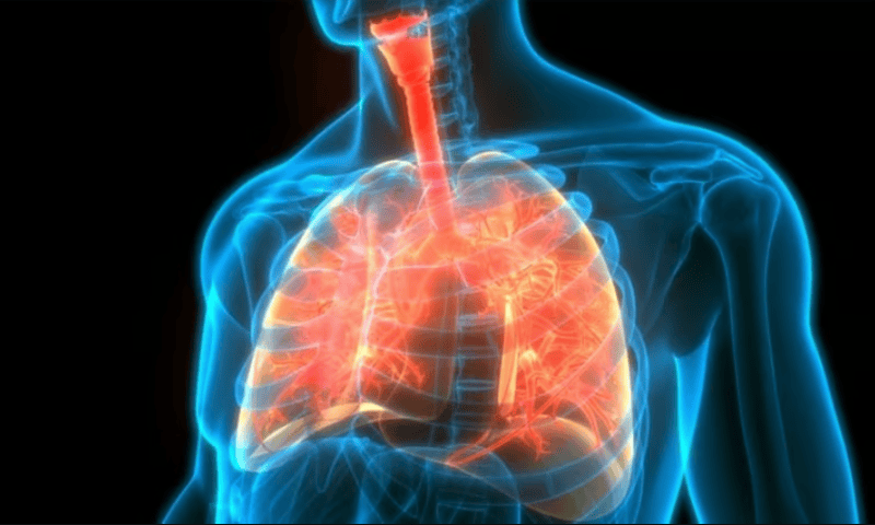 Surrozen’s Wnt mimetic antibody improves lung function in mice with pulmonary fibrosis