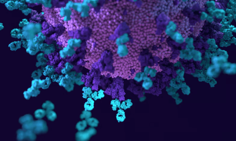 In another step forward for AI, UW researchers deliver antibody-generating model