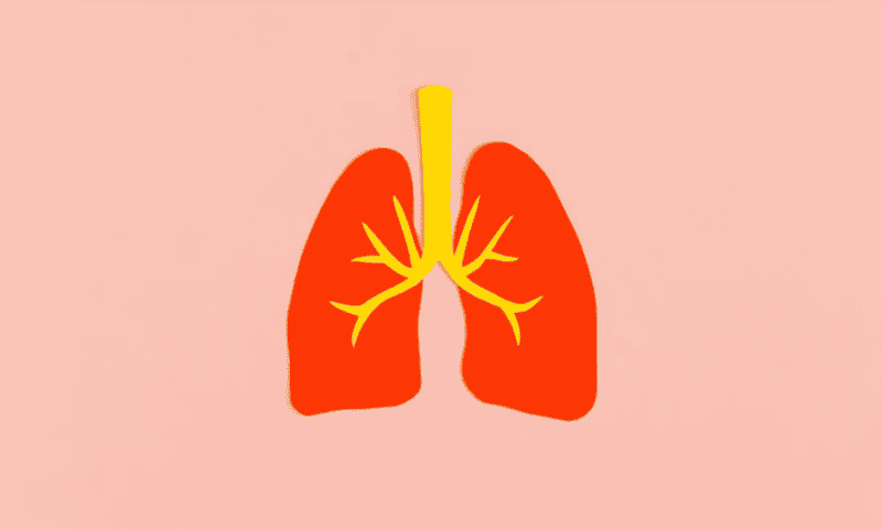 Taking on pharma giants, Endeavor links IPF drug to improved lung function in phase 2